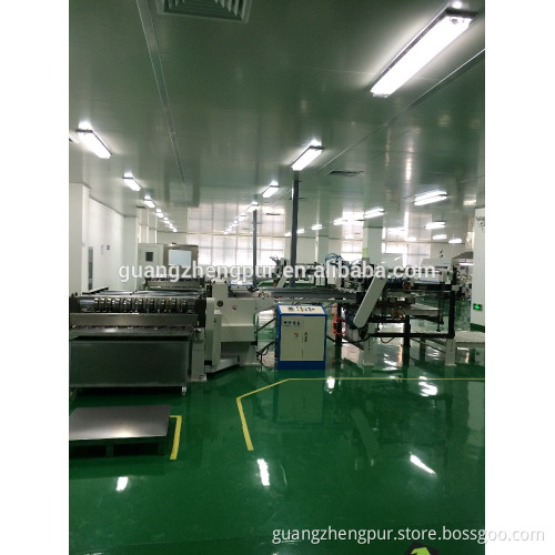 China supplier Class 100 High clean purification clean room